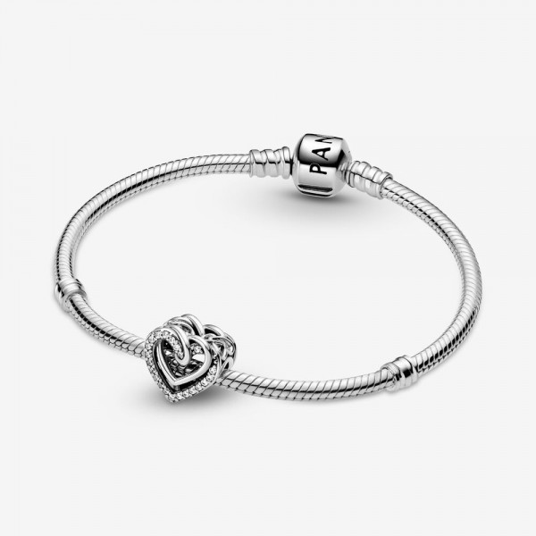 Sparkling Entwined Hearts Charm
