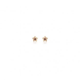 Rose gold plated silver earrings and zircons