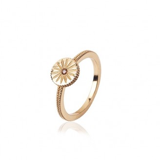 Silver ring rose gold bath and zirconium