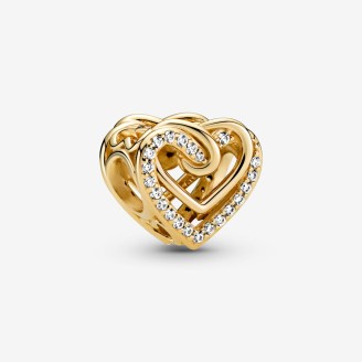 Shiny Intertwined Hearts Charm