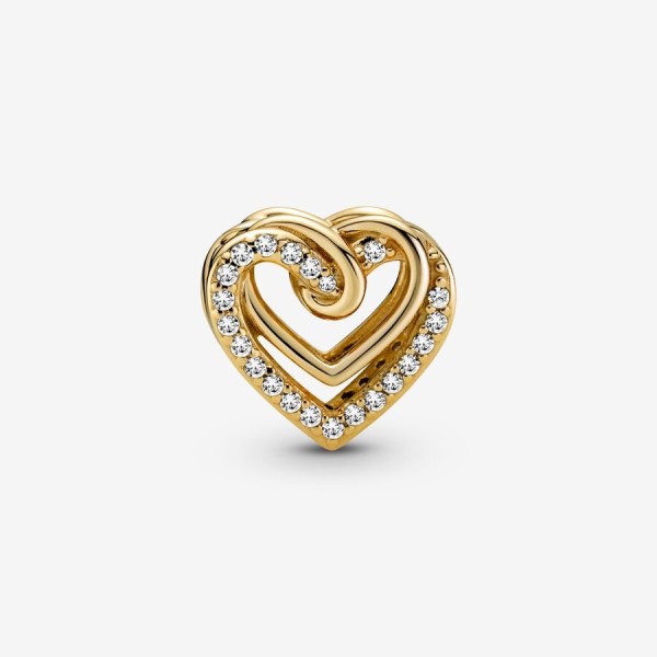 Shiny Intertwined Hearts Charm