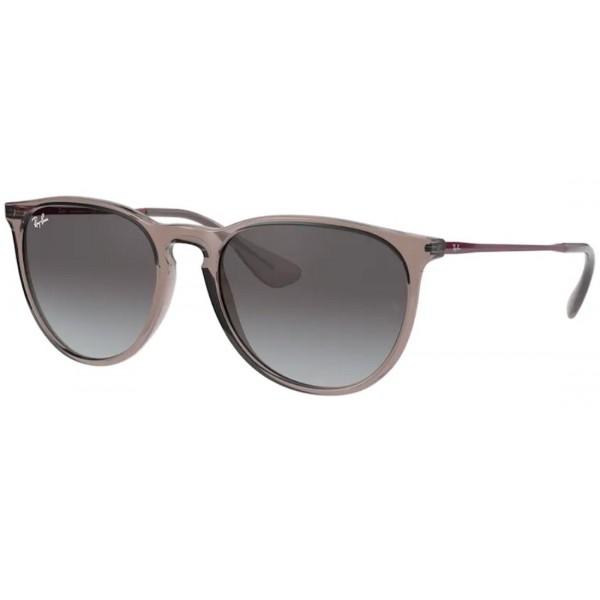 Ray-Ban RB4171 65138G Erika