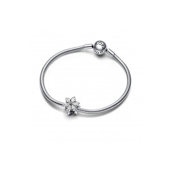 CHARM PANDORA HERBARIO CIRCONITAS
