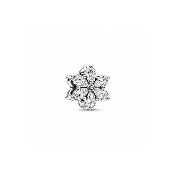 CHARM PANDORA HERBARIO CIRCONITAS