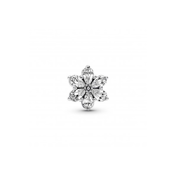 CHARM PANDORA HERBARIO CIRCONITAS