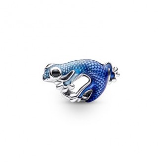 Charm Pandora Moments...