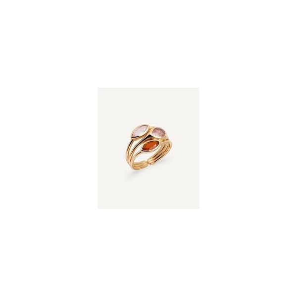 ANILLO VIDAL Y VIDAL