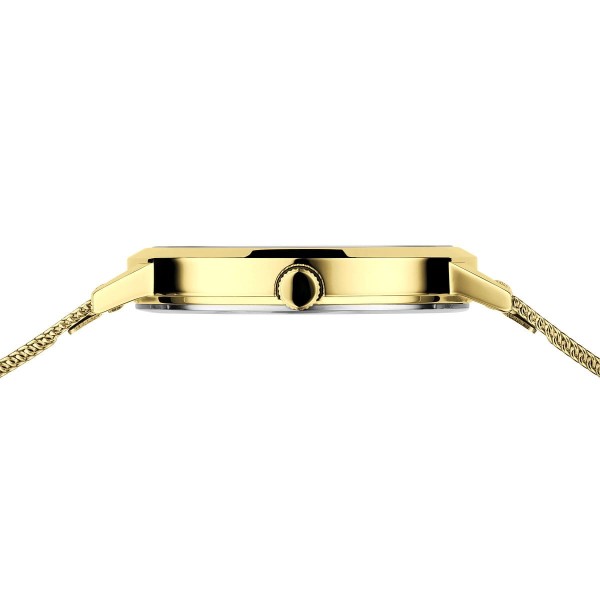 RELOJ BERING CLASSIC CHAPADO