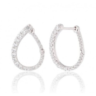 AROS PLATA CAMALEONI...