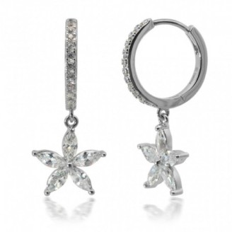 AROS PLATA CAMALEONI...